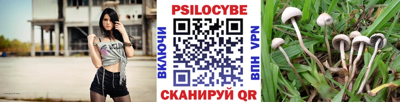 Псилоцибиновые грибы Psilocybine cubensis  Купить  Медынь 